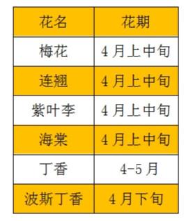 最全公园赏花地图 石家庄的春天一定要出去看看