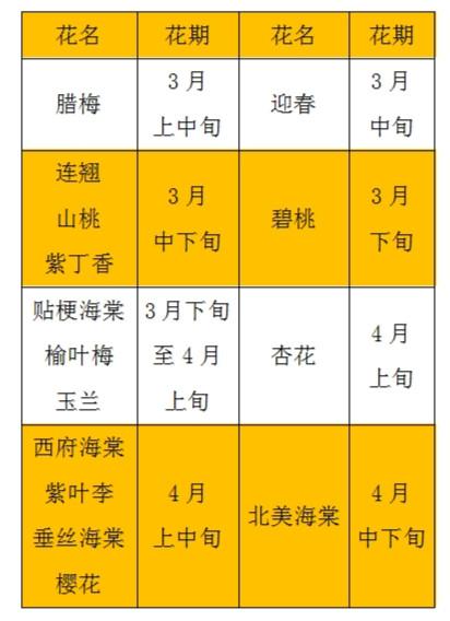 最全公园赏花地图 石家庄的春天一定要出去看看