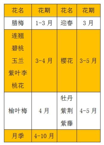 最全公园赏花地图 石家庄的春天一定要出去看看