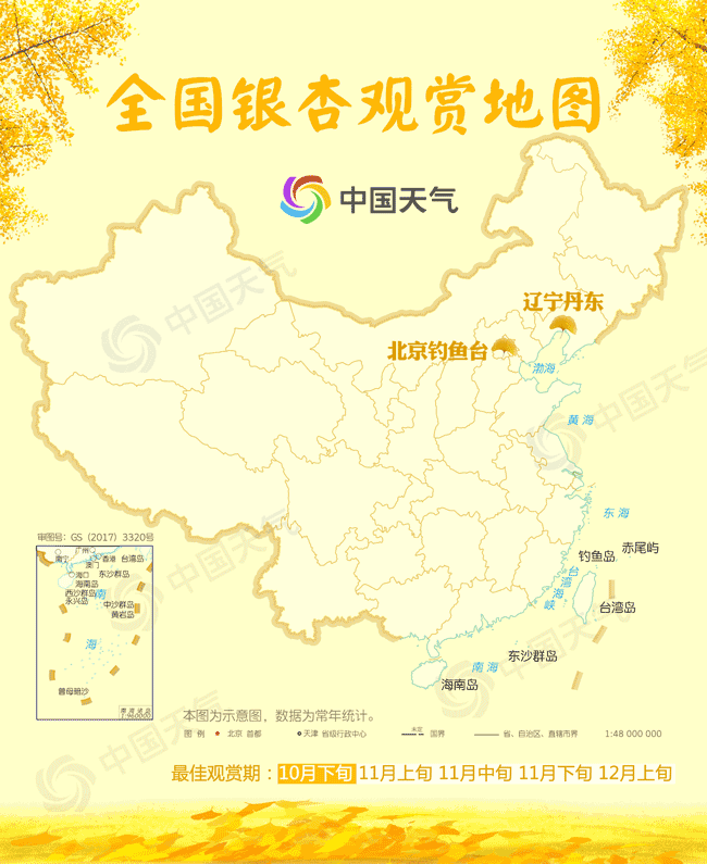 全国银杏观赏地图来了!辽宁丹东31日进入最佳观赏期