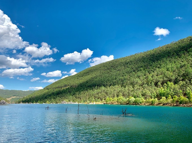 云南旅游六天需要多少钱？去云南报团旅游价格